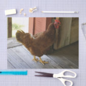 Land Tissuepapier (Craft)