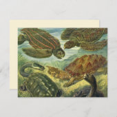 Land Tortoise Zee Schildpadden van Ernst Haeckel (Voorkant / Achterkant)