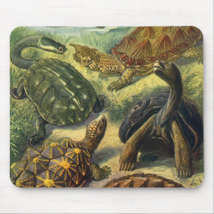  Land Tortoise Zee Schildpadden van Ernst Haeckel Muismat