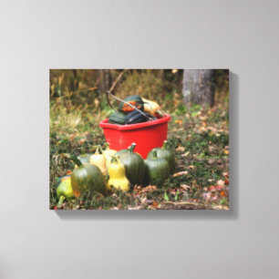 Land Tuin Squash Harvest Canvas Afdruk