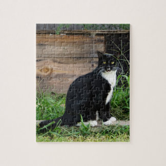 Land Tuxedo Cat Legpuzzel