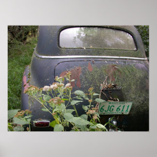 Land van 10.000 meren poster