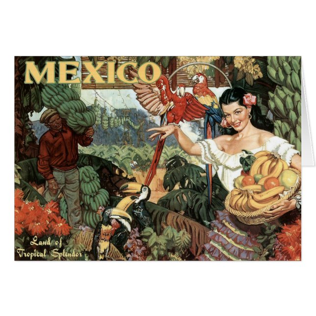 Land van de Tropische Splendor (Voorkant Horizontaal)