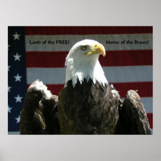 Land van het vrije Poster
