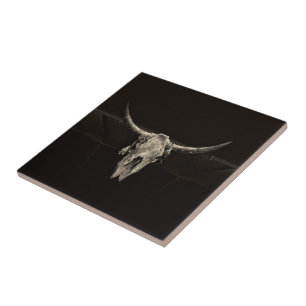 Land Western Bull Skull Rustic  Antiek Tegeltje