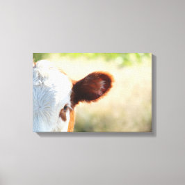 Land witte en bruine Koe in groene weide Canvas Afdruk