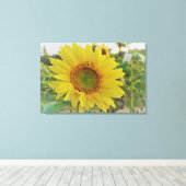 Land Zonnebloem Canvas Afdruk (Insitu (Houten vloer))