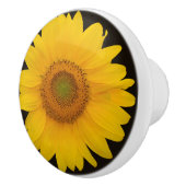 Land Zonnebloem Ronde Keramische Pull Knop (Rechts)