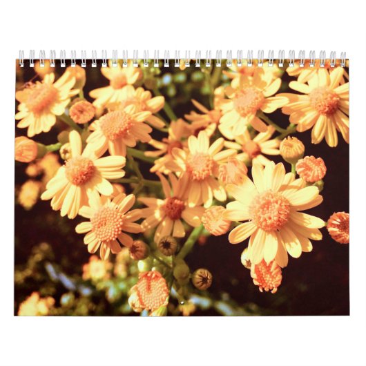 Landagenda boerderij kalender (Hoes)