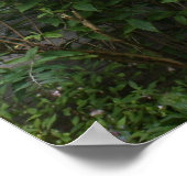 Landbloemen Poster (Hoek)