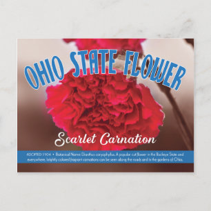 Landbloemkool Ohio de Scarlet-anjer Briefkaart