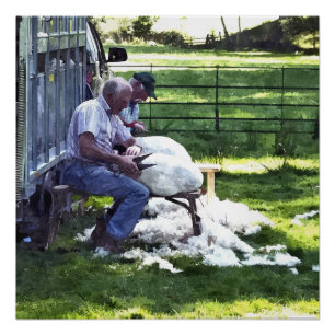 LANDBOUW PERFECT POSTER