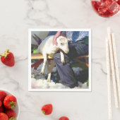 LANDBOUW SERVET (Insitu)