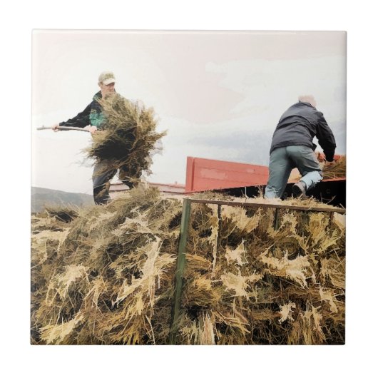 LANDBOUW TEGELTJE (Voorkant)