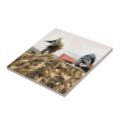 LANDBOUW TEGELTJE (Zijkant)