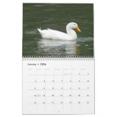 Landbouwdieren 2019-kalender kalender (Jan 2026)