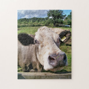 LANDBOUWDIEREN, KUSTKOOL LEGPUZZEL