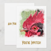 LANDBOUWDIEREN, ROOSTER KAART (Voorkant / Achterkant)