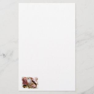 LANDBOUWDIEREN, VARKENS BRIEFPAPIER
