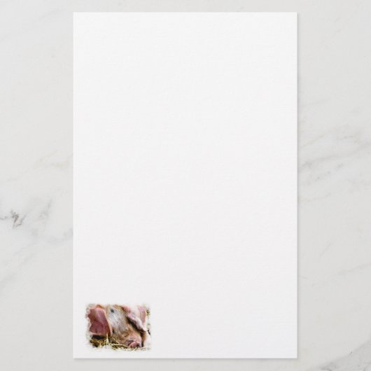 LANDBOUWDIEREN, VARKENS BRIEFPAPIER (Voorkant)