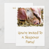 LANDBOUWDIEREN, VARKENS KAART (Voorkant / Achterkant)