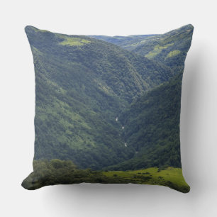 Landbouwgrond en Himalaya-bos in de Mangdue-vallei Kussen