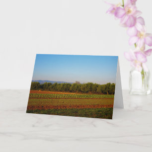 Landbouwgrond in Valencia, Spanje Kaart