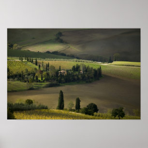 Landbouwgrond rond Montepulciano, Toscane, Italië Poster