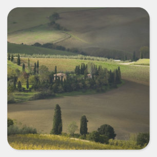 Landbouwgrond rond Montepulciano, Toscane, Italië Vierkante Sticker