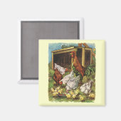 landbouwhuisdieren, rooster, kippen magneet (Voorkant / Achterkant)