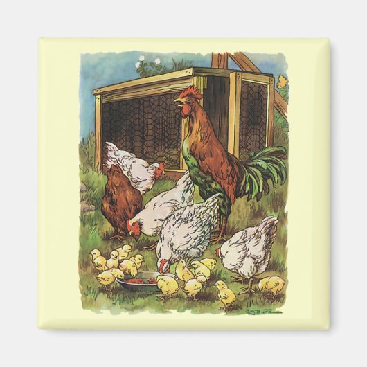 landbouwhuisdieren, rooster, kippen magneet (Voorkant)