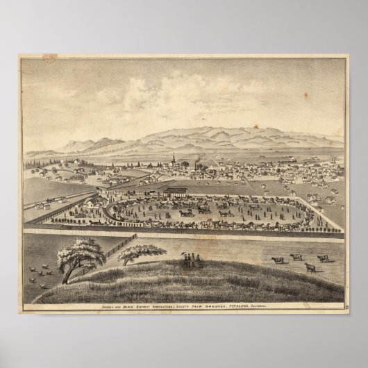 Landbouwmaatschappij Sonoma en Marin District Poster (Voorkant)