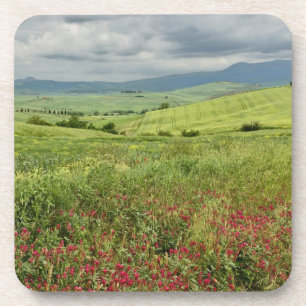 Landbouwveld, regio Toscane in Italië. Onderzetter