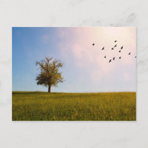 Landelijk idylle briefkaart