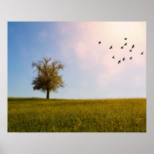 Landelijk idylle met vogels poster