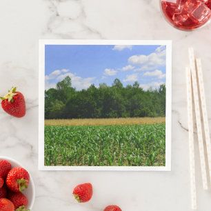 Landelijk landschap van een maïs- en tarweveld en servet