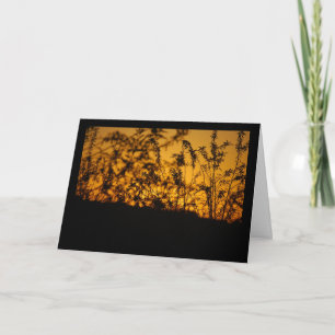 Landelijk Oranje Zonsondergang Silhouet Kaart