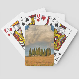 Landelijk Toscane cipressenbomen Pokerkaarten