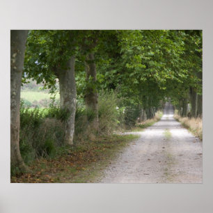 Landelijke onverharde landweg nabij de stad poster