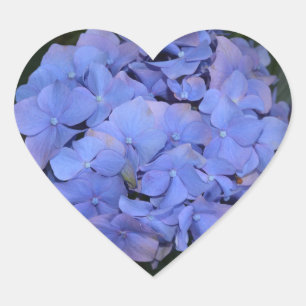 Landelijke Paarse Hydrangea macrophylla Hart Sticker