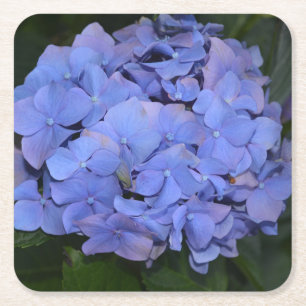 Landelijke Paarse Hydrangea macrophylla Vierkante Kartonnen Onderzetter