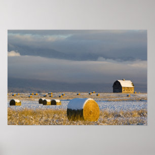 Landelijke schuur en hooibalen na een verse sneeuw poster