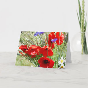 Landelijke tuin, Rosalinde Kaart