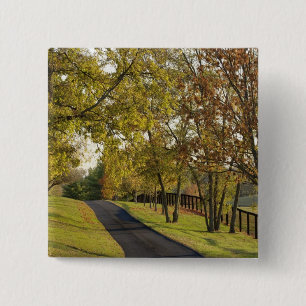 Landelijke weg door de Bluegrass-regio van Kentuck Vierkante Button 5,1 Cm