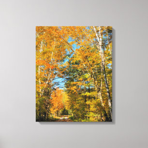 Landelijke weg herfstkleuren New Hampshire Canvas Afdruk