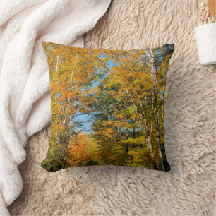Landelijke weg herfstkleuren New Hampshire Kussen