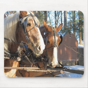 Landelijke winter paard muismat