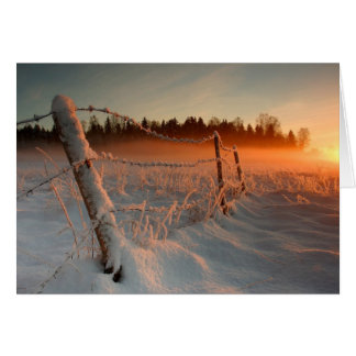 Landelijke winterzonsondergang