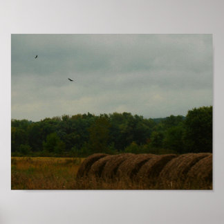 Landenbalken Poster