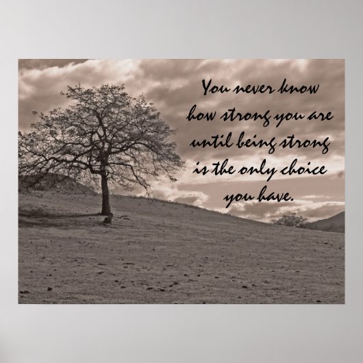 Landeneiken Sepia Poster (Voorkant)